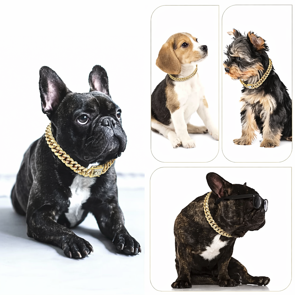 Collar cadena dorada de Diamantes para Perros y Gatos