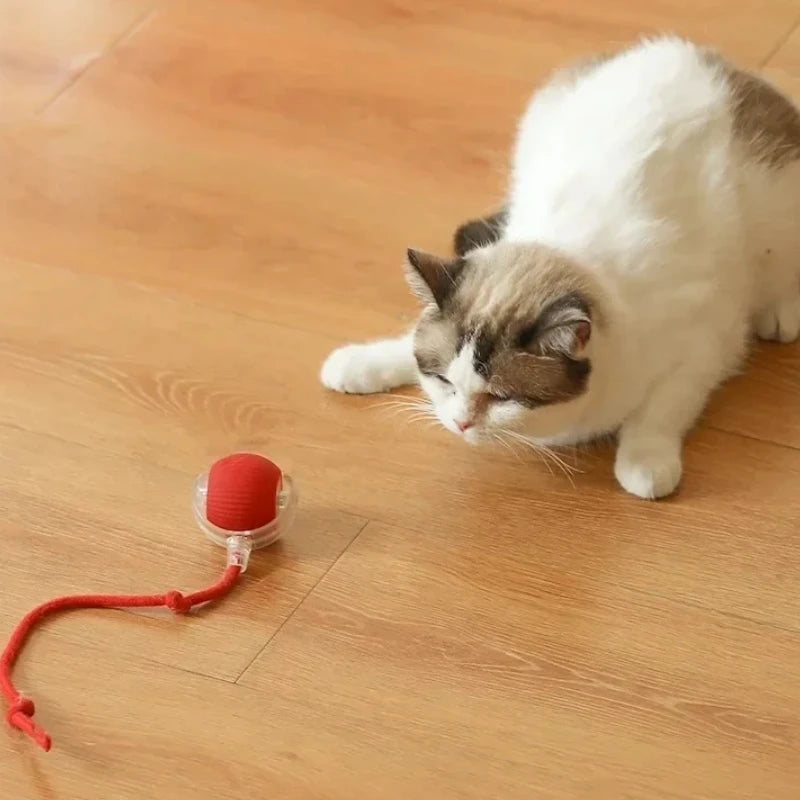 Pelota interactiva para gatos y perros